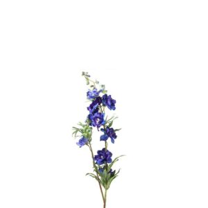 Countryfield Rittersporn Jesika Blau
