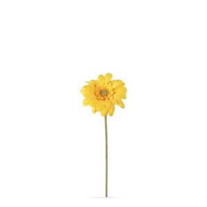 Countryfield Gerbera Gelb