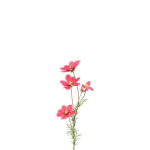 Countryfield Kunstblume Kosmos Rosa