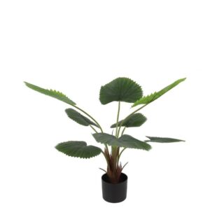 Countryfield Kunstpflanze Palme Livistona