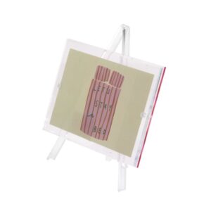 Homebound by KY Fotorahmen Kunst 15x10cm rosa