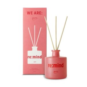 Ipuro Reed Diffuser Re Mind 100 ml