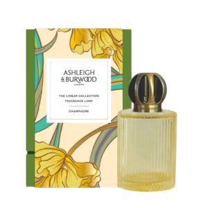 Ashleigh & Burwood Duftlampe Champagne