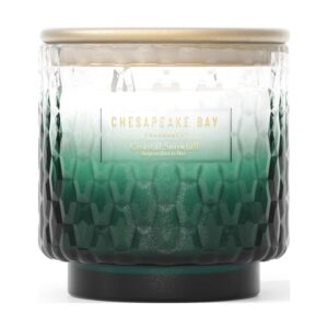 Chesapeake Bay – Large Candle Coastal Snowfall