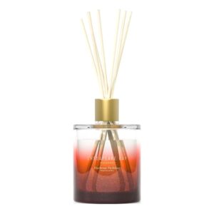 Chesapeake Bay Reed Diffuser Harbour Holiday
